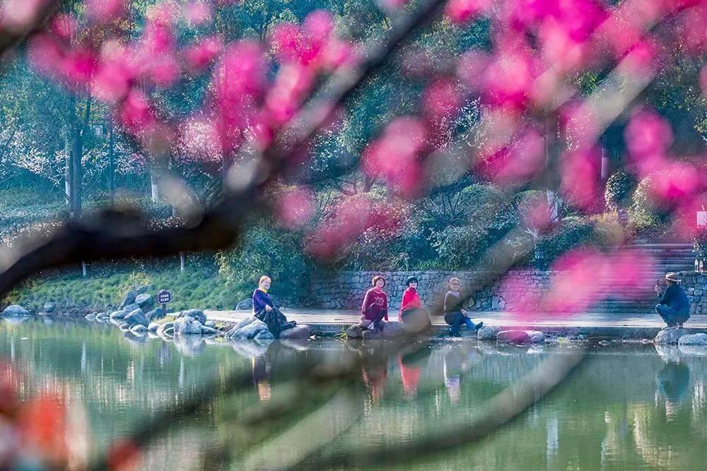 探秘为什么提分手对象一直挽回?,发现精彩红迪网世界